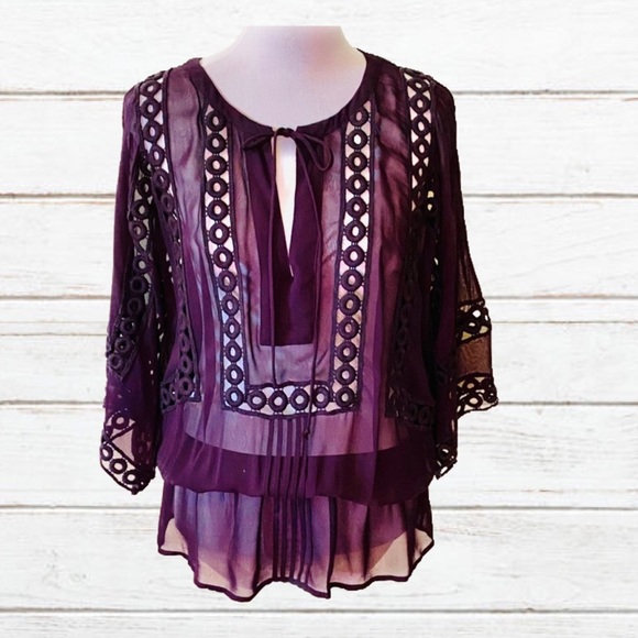 Anthropologie Tops - ANTHROPOLOGIE Beautiful dark purple sheer top